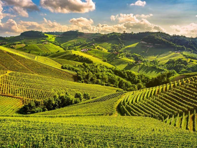 L'Orchidhea Apartment Savigliano Kültér fotó